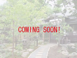 シルバー製家紋ピンバッヂ